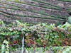 RELÓGIO DOURO